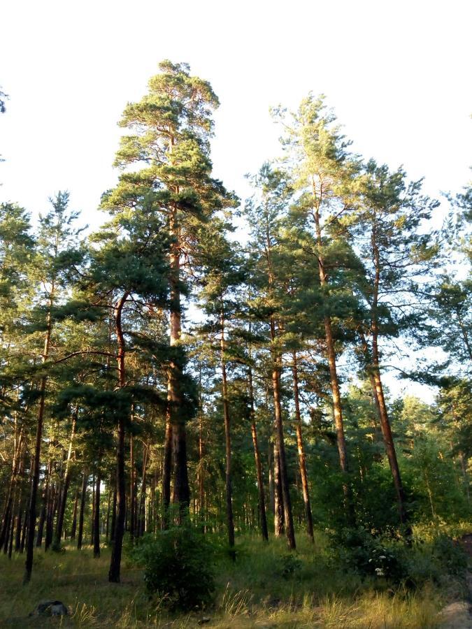 Guest House Kiev Forest Exterior photo